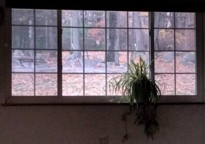 Upgrade Windows: Windows show us the beauty in life.