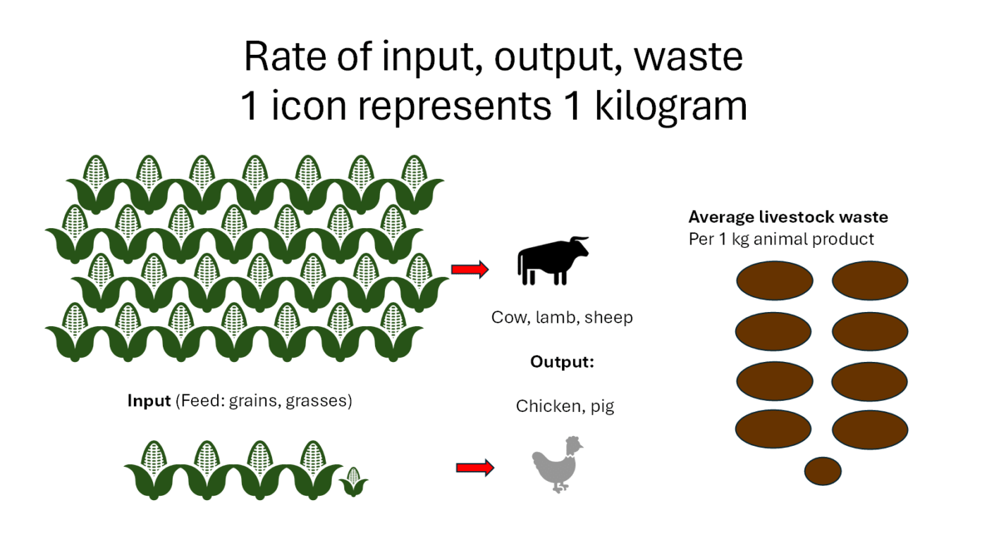 A plant-based diet is much more efficient in production, since it takes approximately 28 kg of corn to produce 1 kg of beef.  This is harmful for land and water use, and carbon sequestration, affecting climate change.